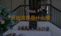 开始胃疼是什么梗 